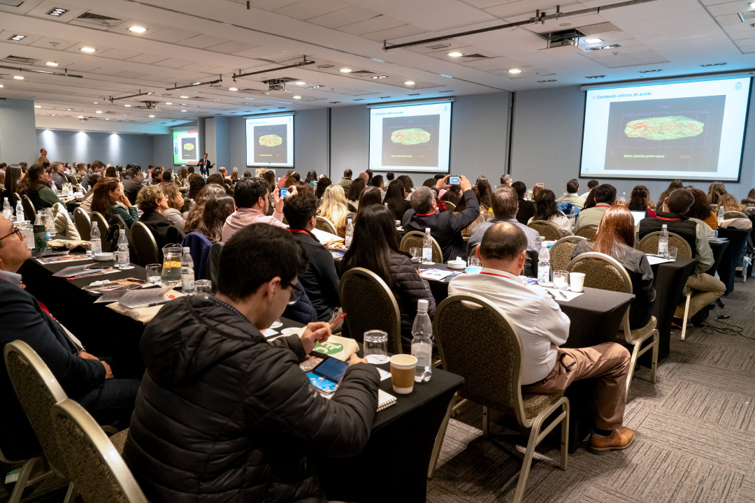En HES creemos en el valor de las personas y en construir un equipo fuerte y comprometido.